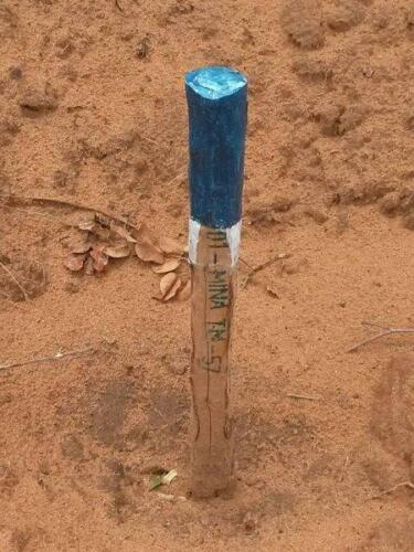 phoca thumb l 101swiadek