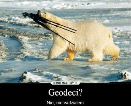 phoca thumb l 126geodeci0