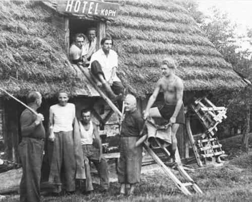 phoca thumb l 135kopm