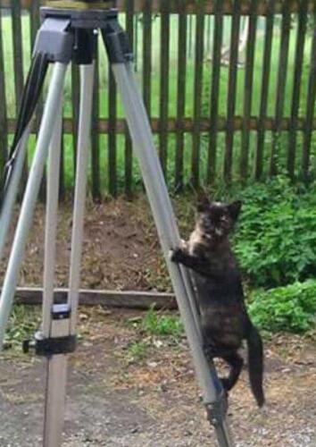 phoca thumb l 183kot