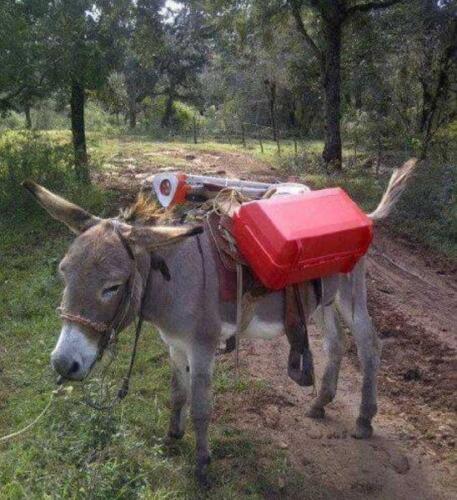 phoca thumb l 190osiol