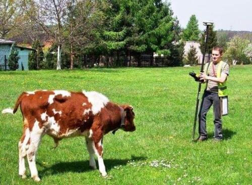 phoca thumb l 228byk