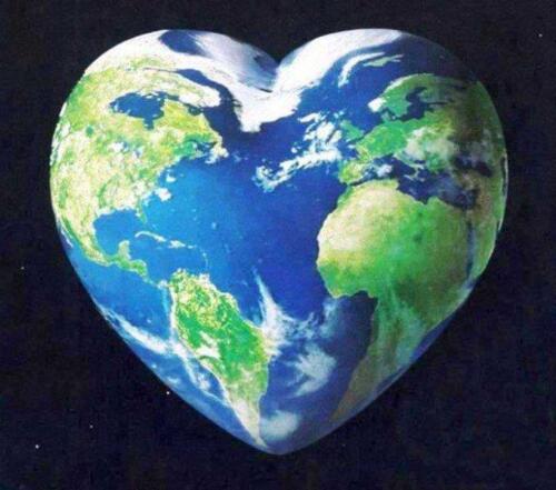 phoca thumb l 55ziemia