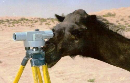 phoca thumb l 70wielblad