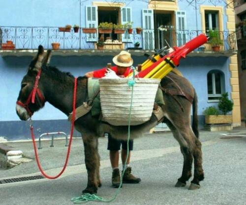 phoca thumb l 82osiol