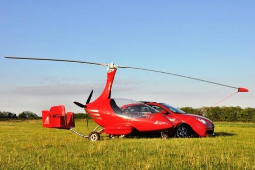 phoca thumb l 9wiatrakapeks